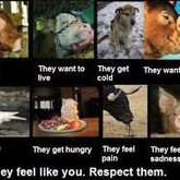 Almost the same as US.